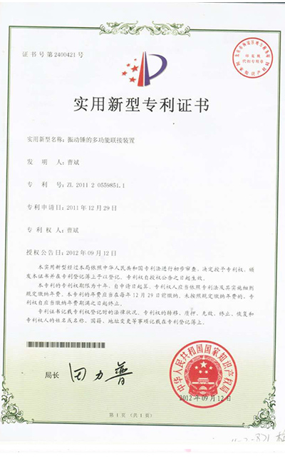 Multifunctional coupling device for vibrating hammer